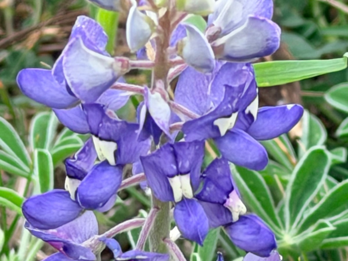 Sixty-eight Feels Great