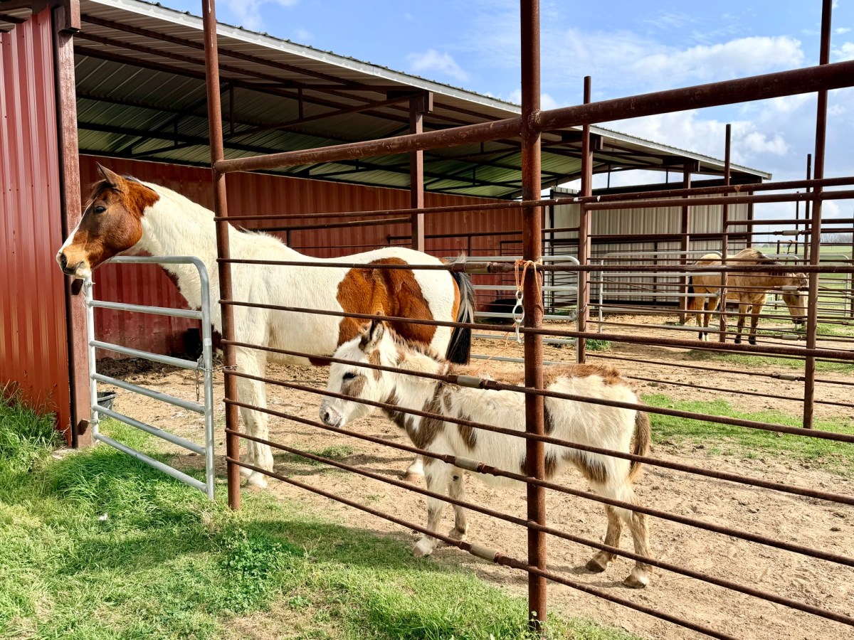 Funny? Weird? Fun? Today Was All&nbsp;That