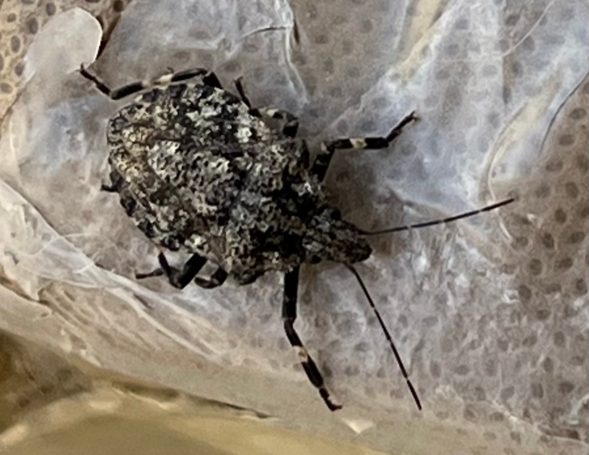 Confidence is elusive