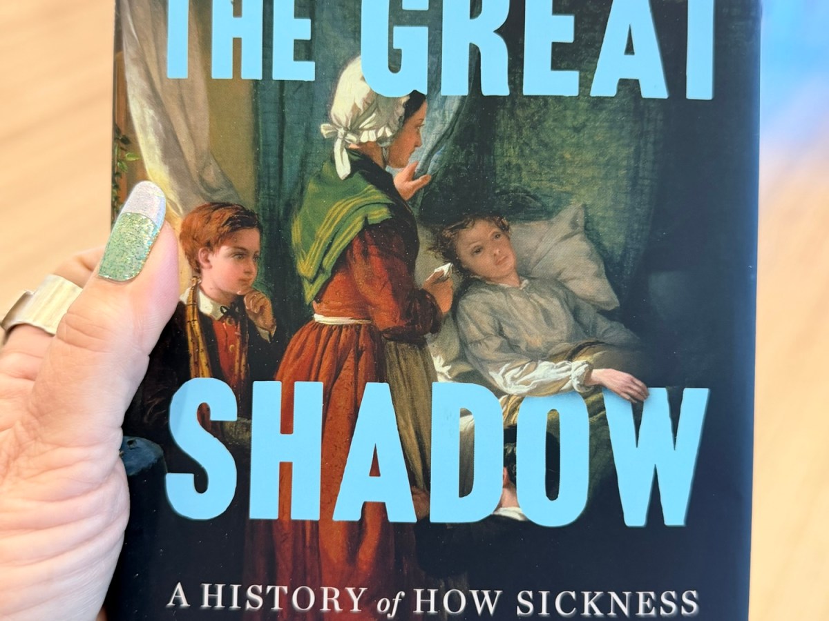 Book Report: The Great&nbsp;Shadow