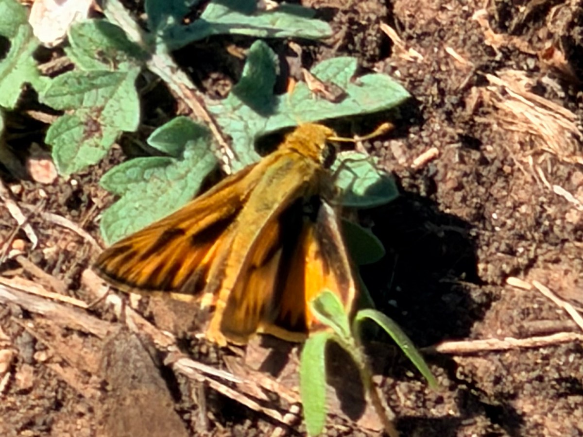 A Different Kind of&nbsp;Day