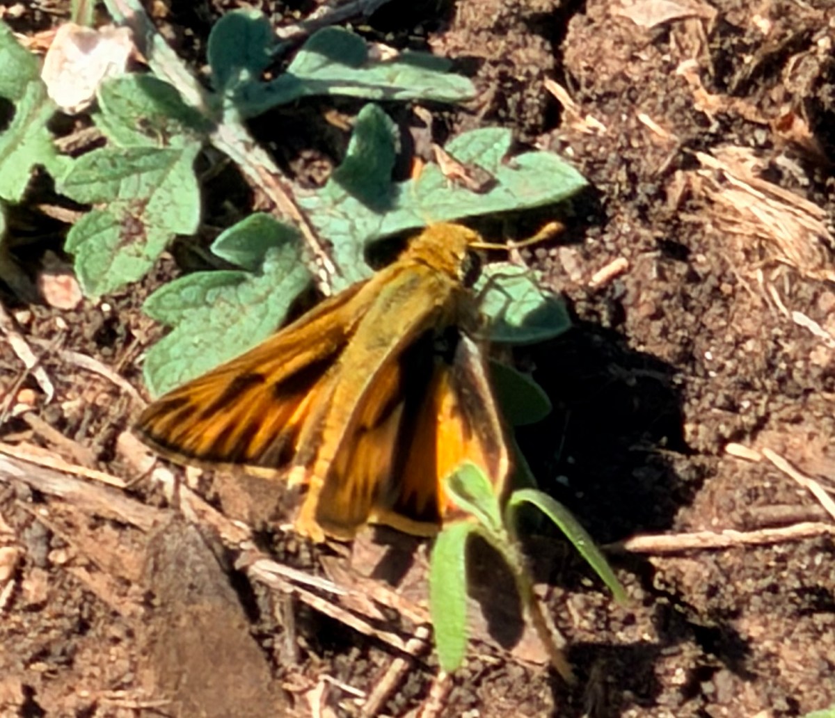 A Different Kind of&nbsp;Day