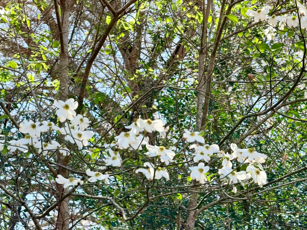 Out of My Comfort&nbsp;Zone