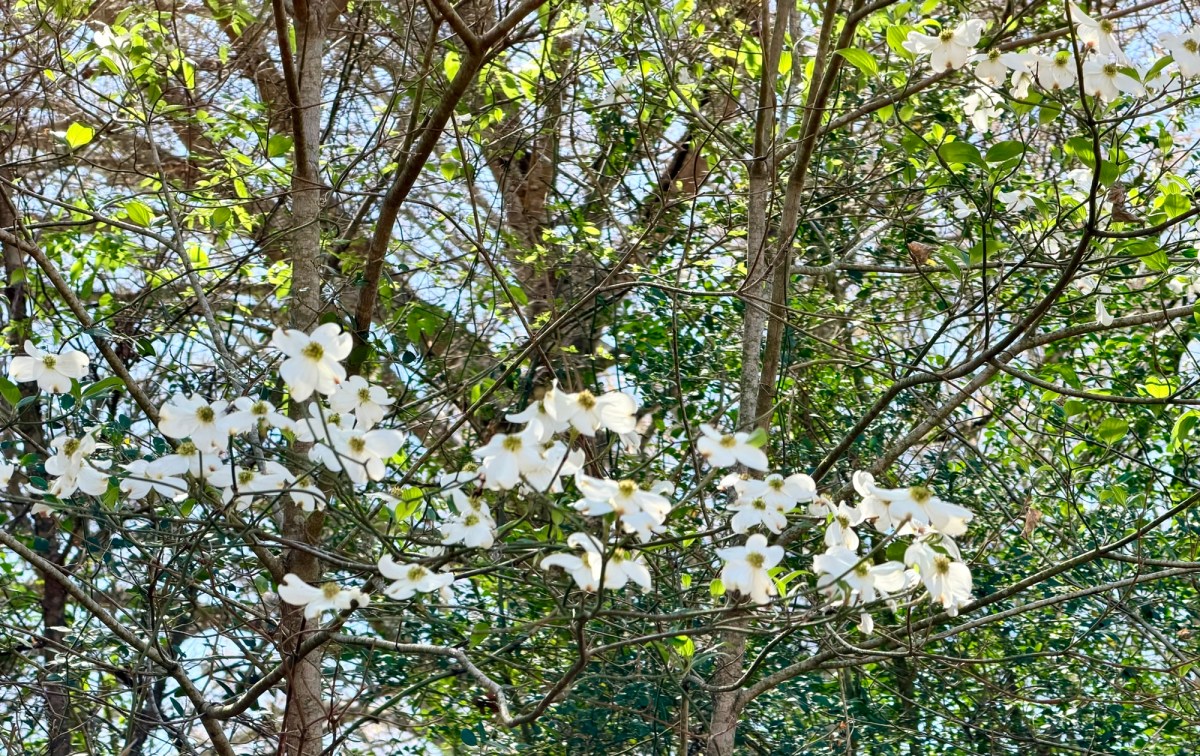 Out of My Comfort&nbsp;Zone