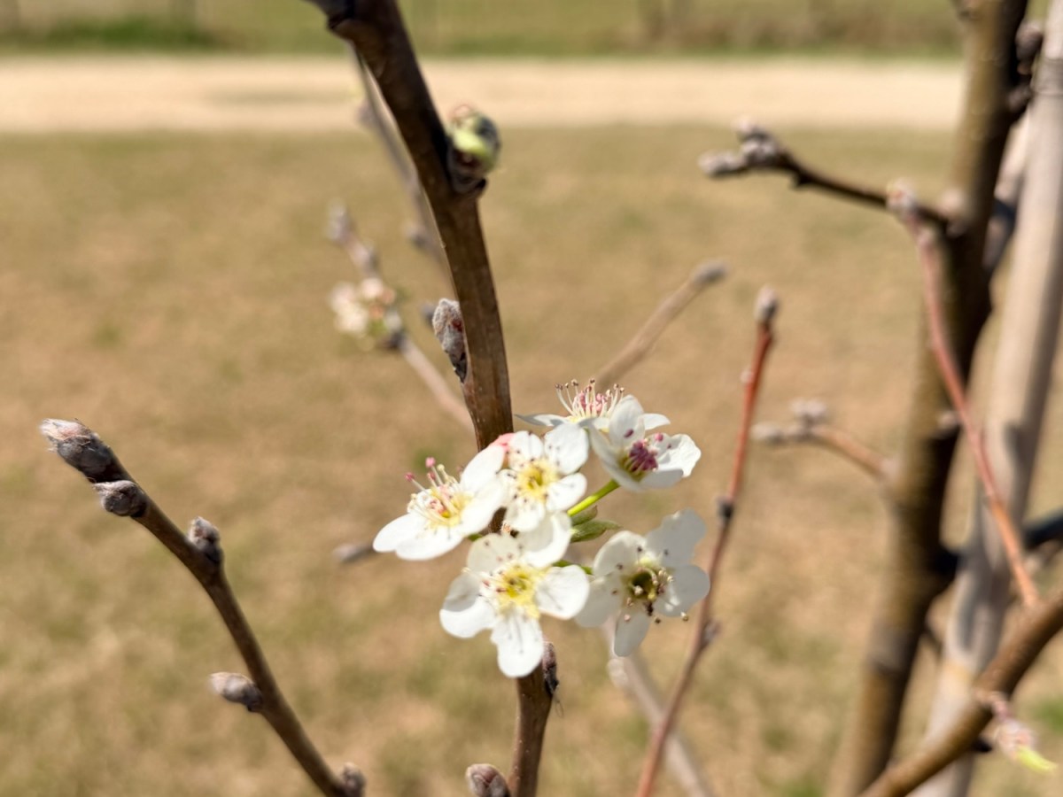 Good Night, More&nbsp;Tomorrow