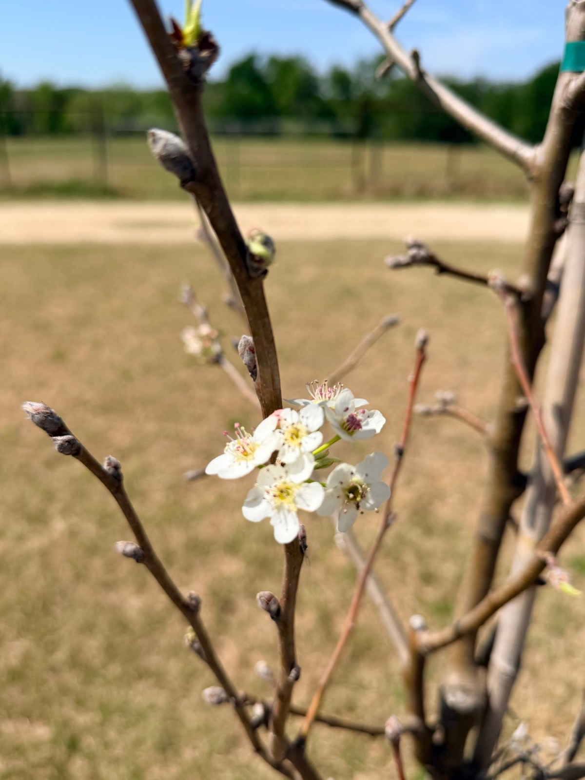 Good Night, More&nbsp;Tomorrow