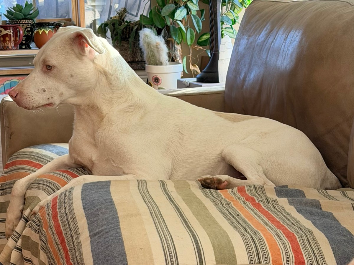 Weird Illness Symptom