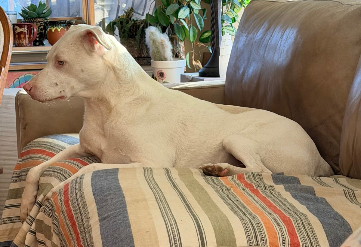 Weird Illness Symptom