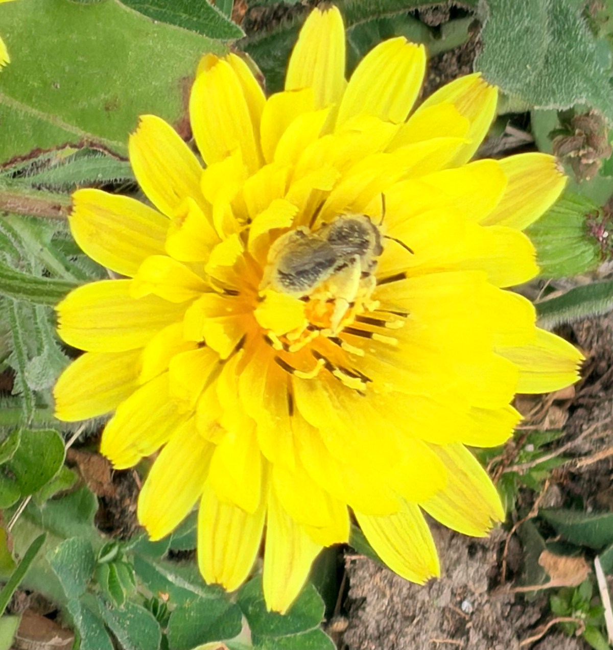 I’m the Source of My Own&nbsp;Problems