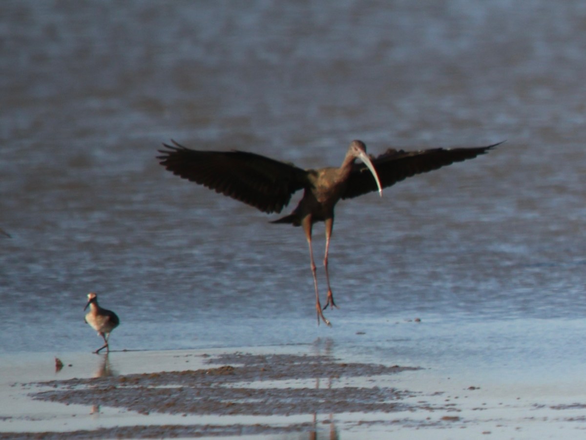 Joy! Twice in One&nbsp;Day!