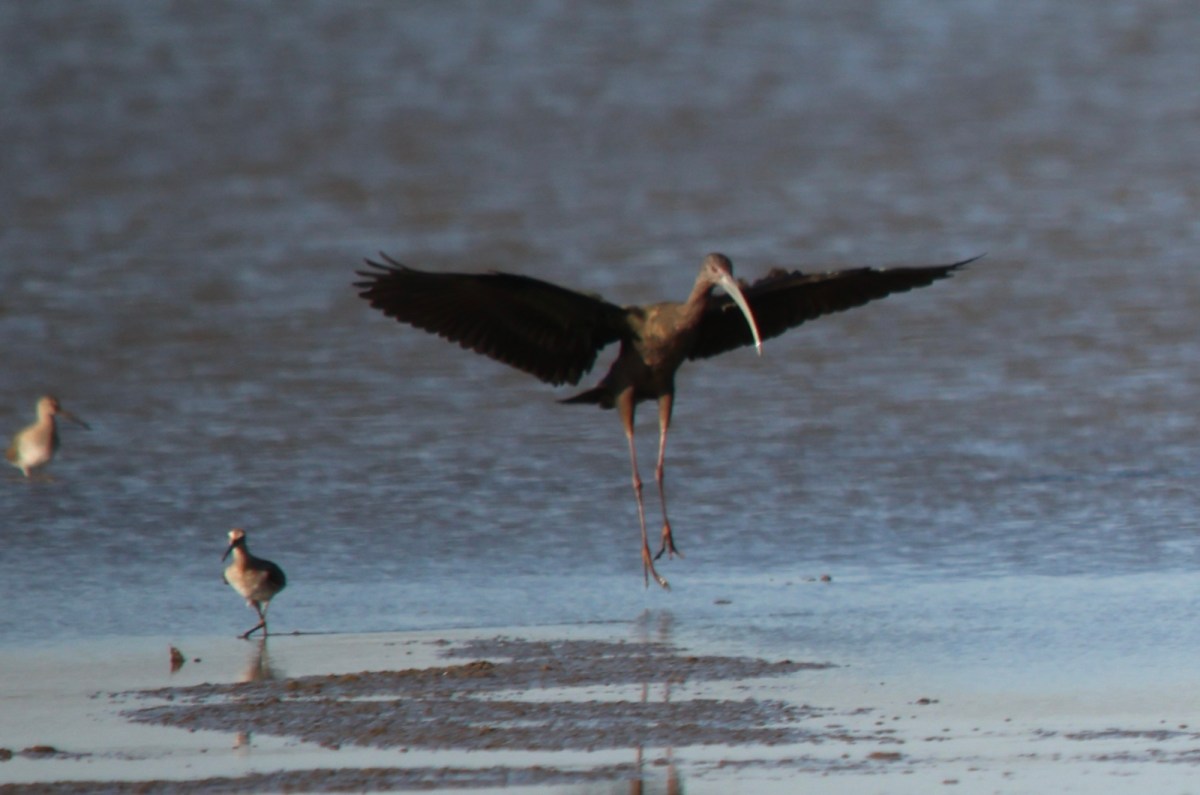 Joy! Twice in One&nbsp;Day!