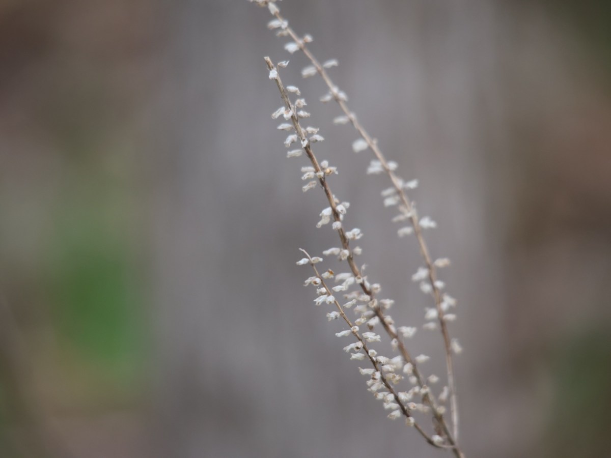 Work and Life,&nbsp;Balanced