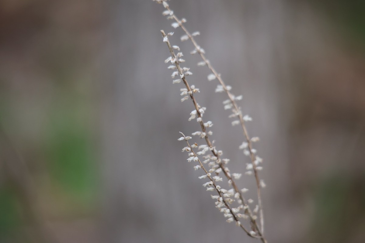 Work and Life,&nbsp;Balanced