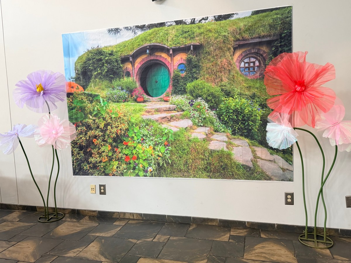 Where Are You&nbsp;Going?