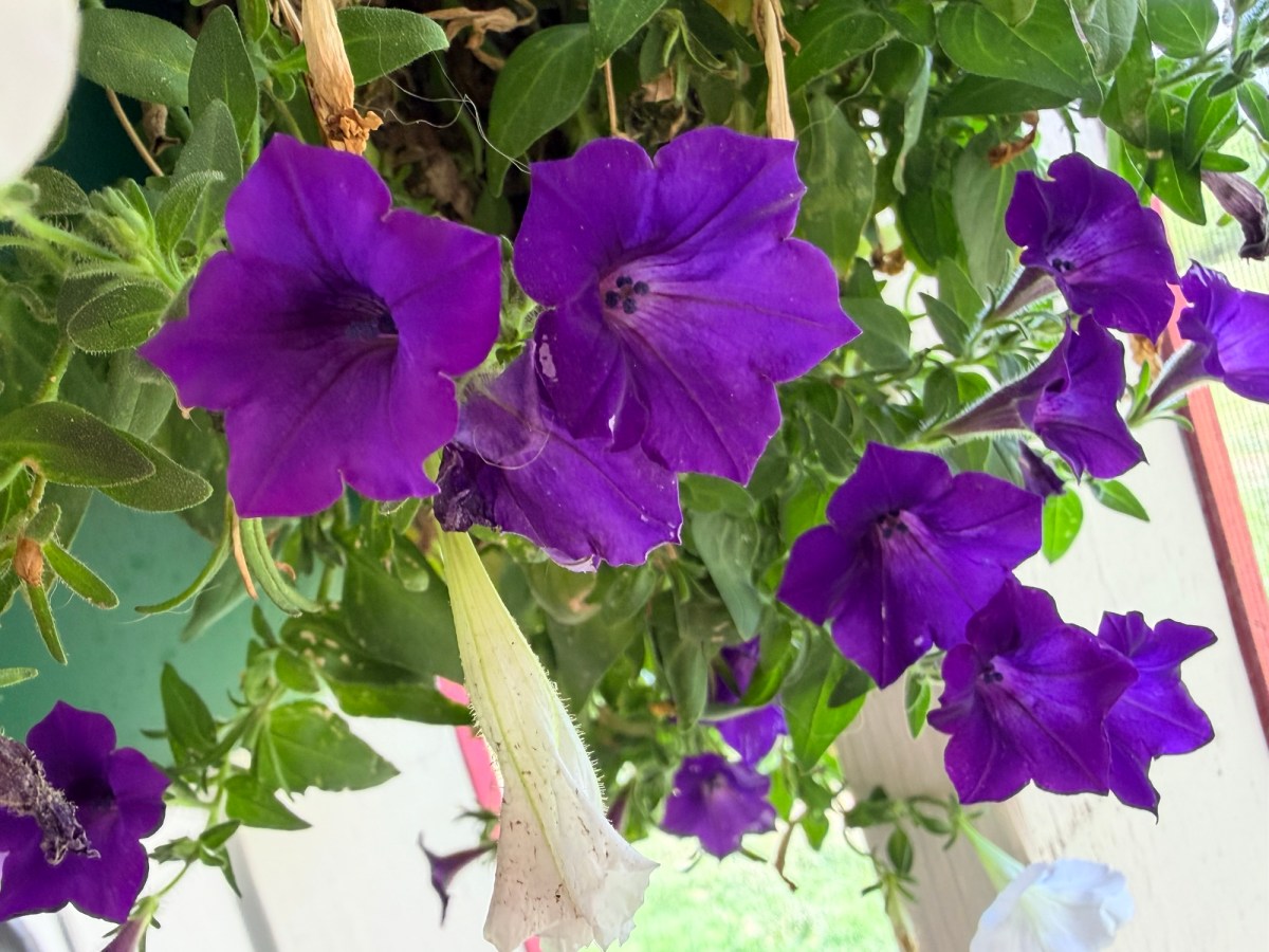 The Best Thing about&nbsp;Today