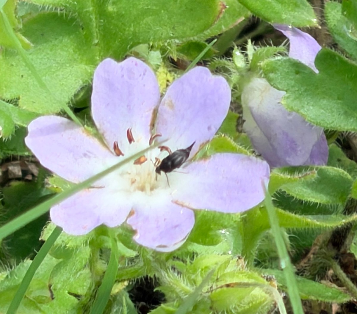 Wandering around a Lake.&nbsp;Again.