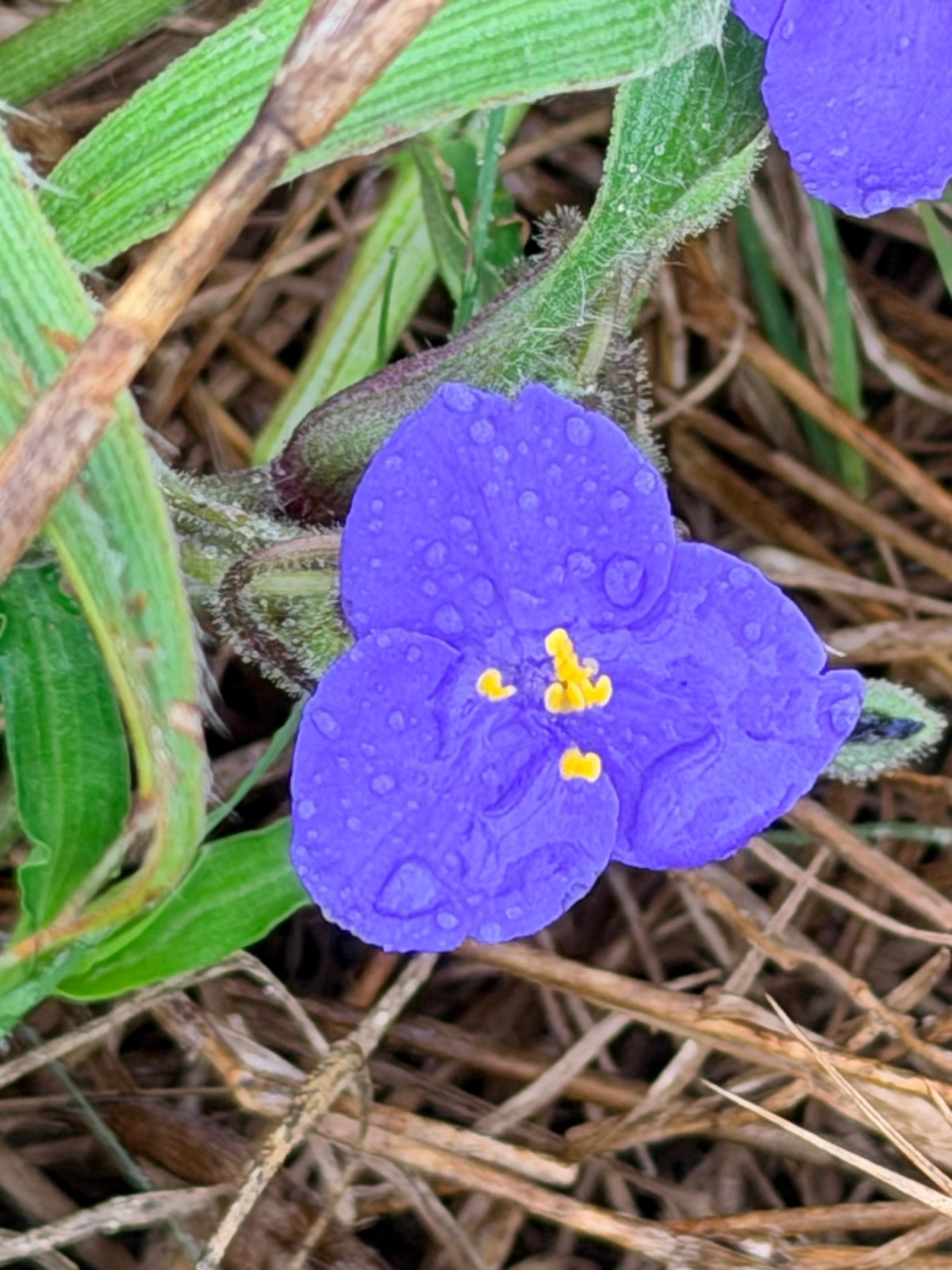 Birding and Driving&nbsp;Success