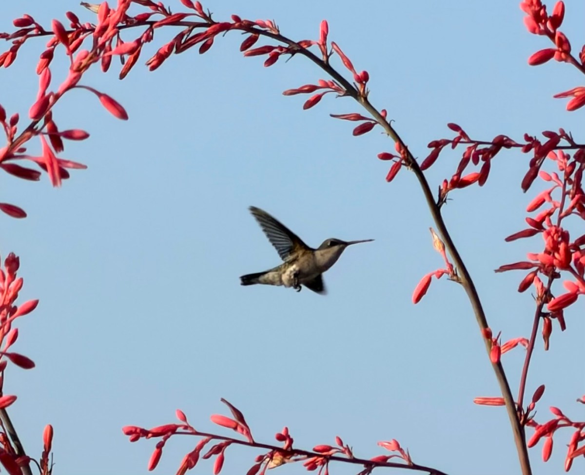 Gee, but It’s Great to Be Back&nbsp;Home