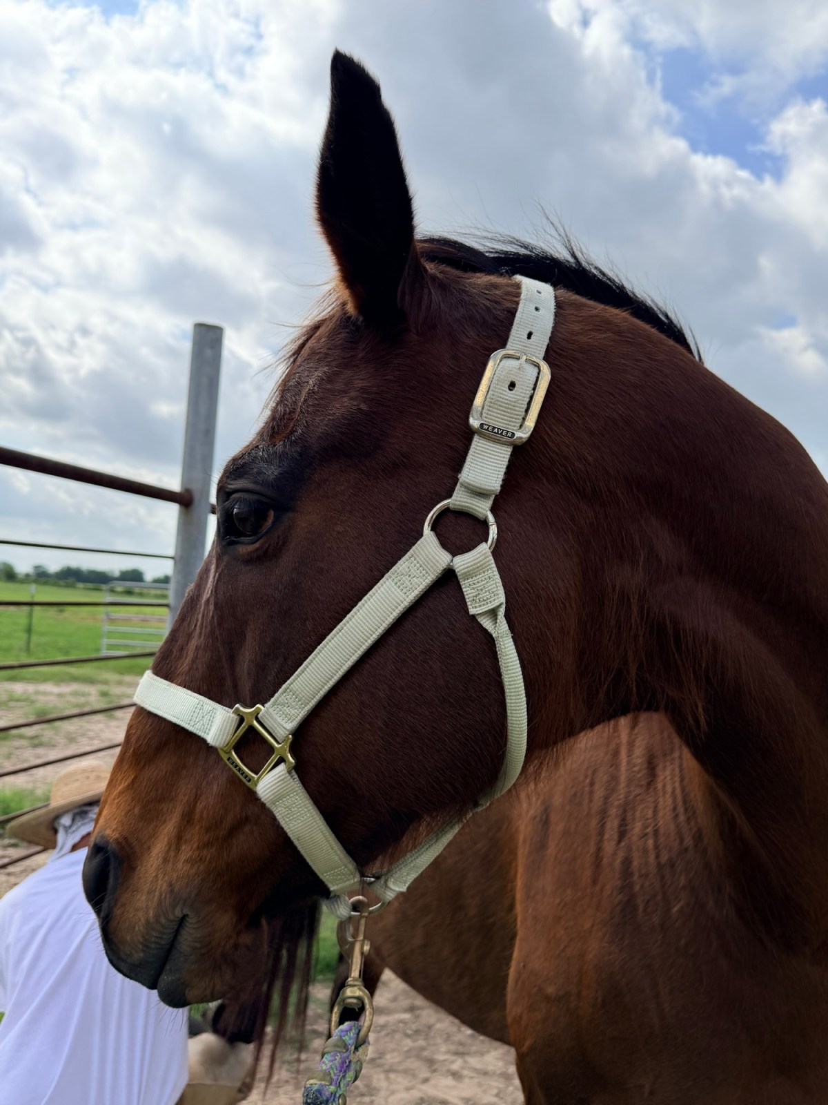 A Bit of a&nbsp;Break