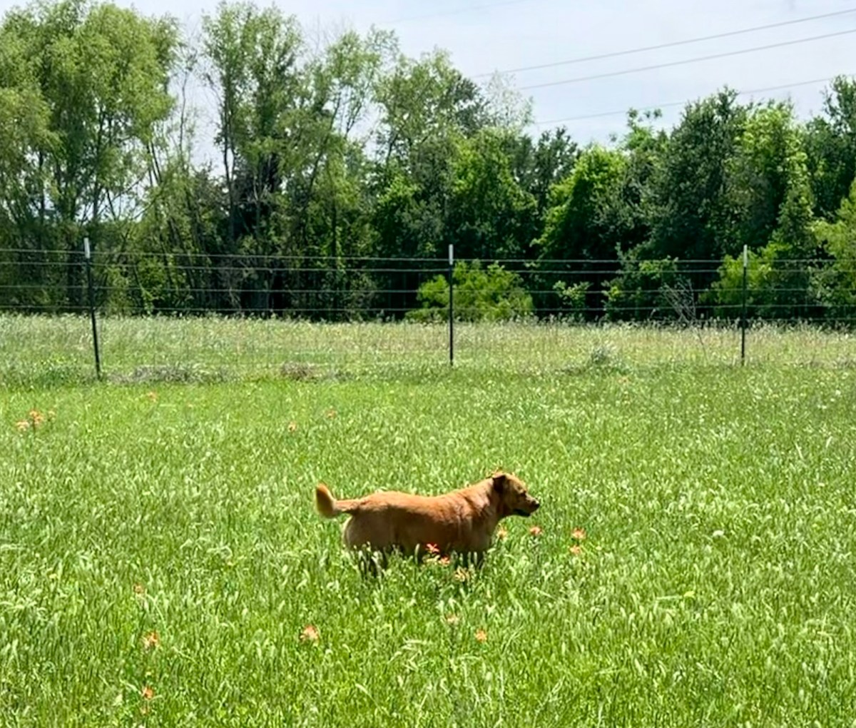 Getting Back on&nbsp;Track