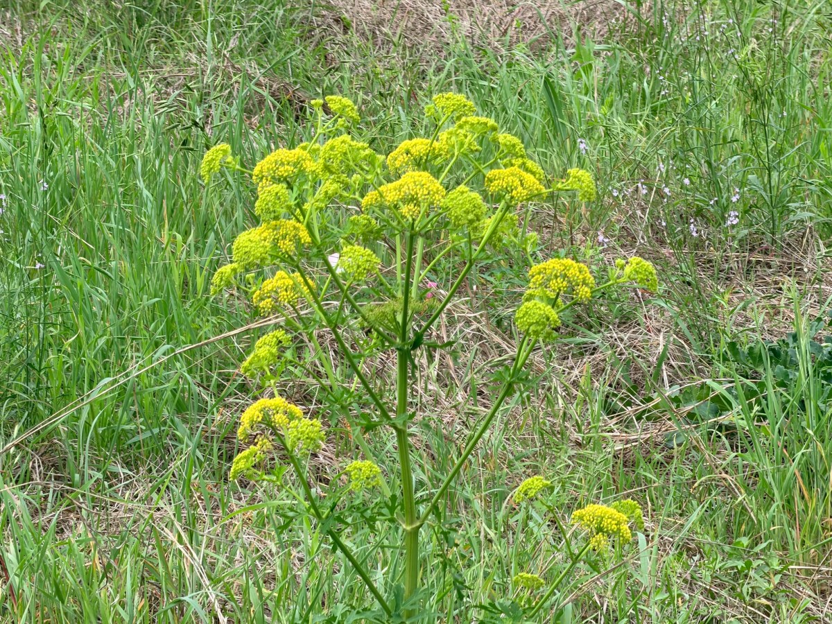 It All Worked Out&nbsp;Today