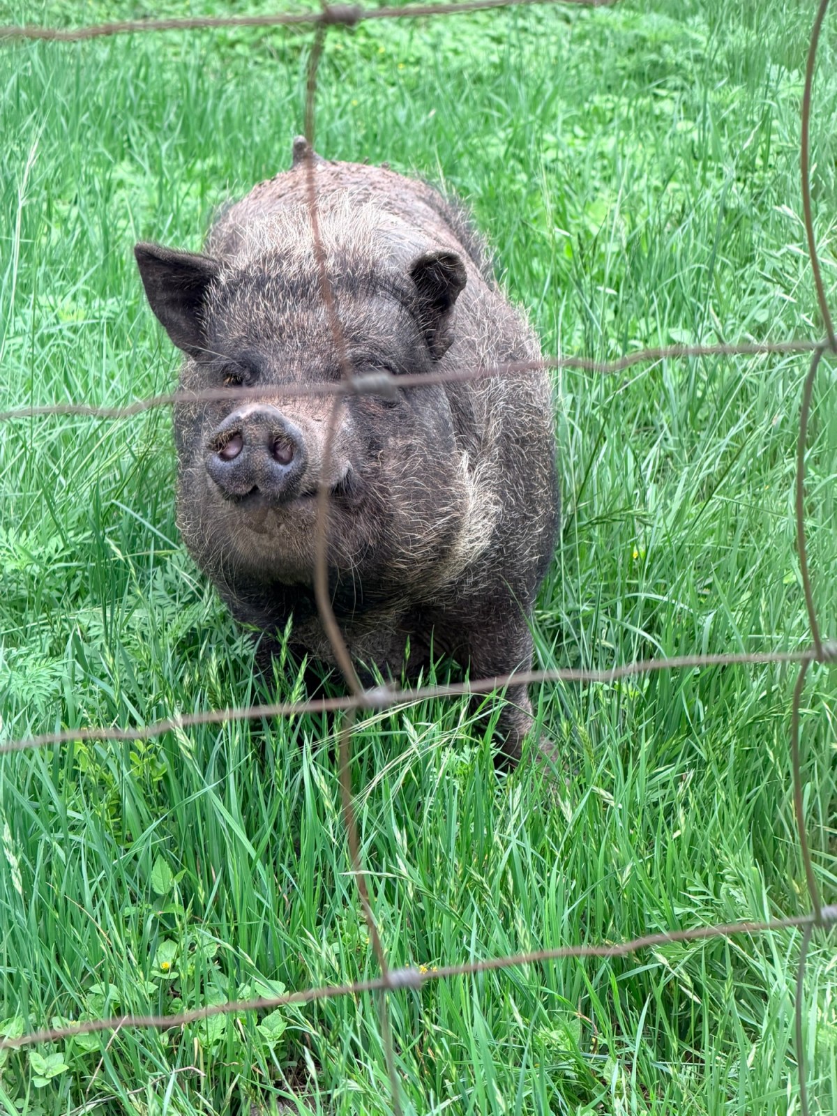 Happy Scenic Travels