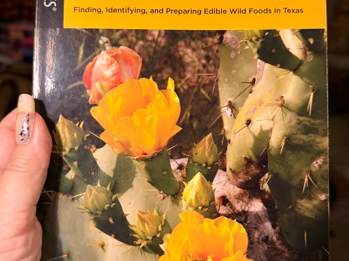 Book Report: Foraging&nbsp;Texas