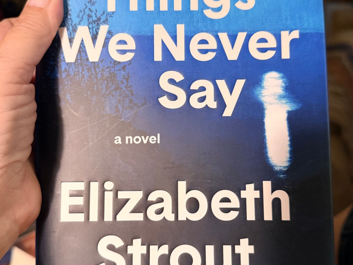 Book Report: The Things We Never&nbsp;Say