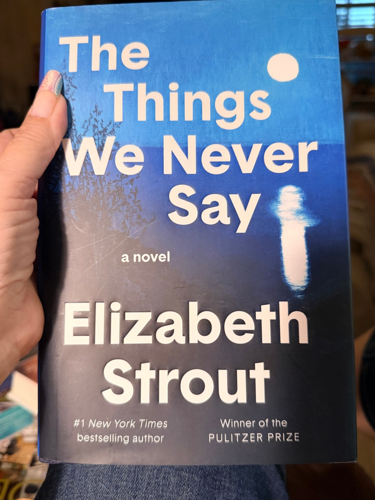 Book Report: The Things We Never&nbsp;Say