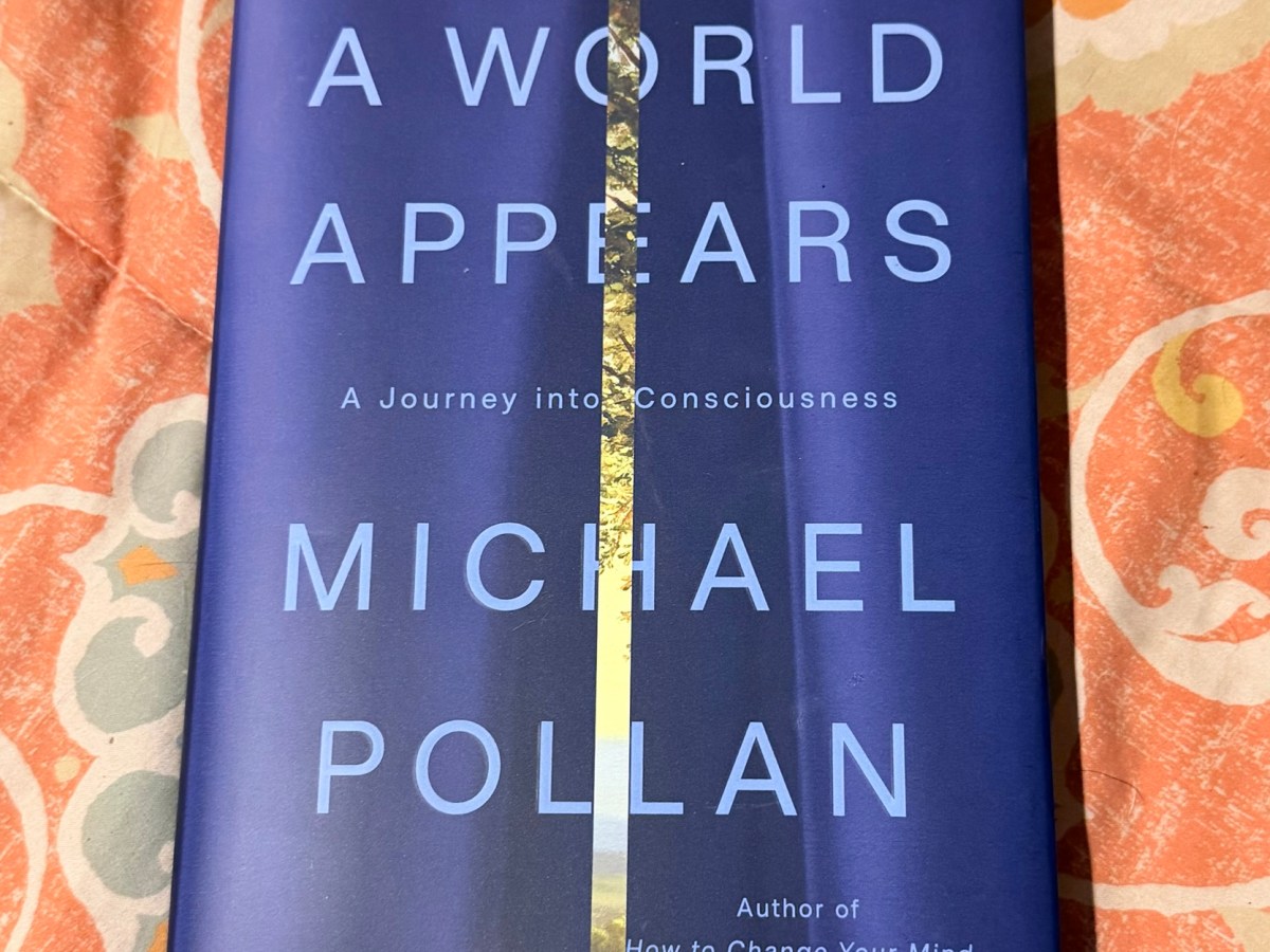 Book Report: A World&nbsp;Appears