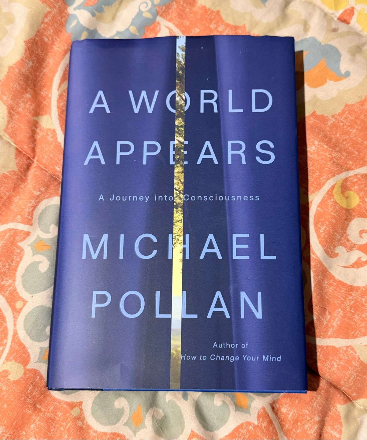 Book Report: A World&nbsp;Appears