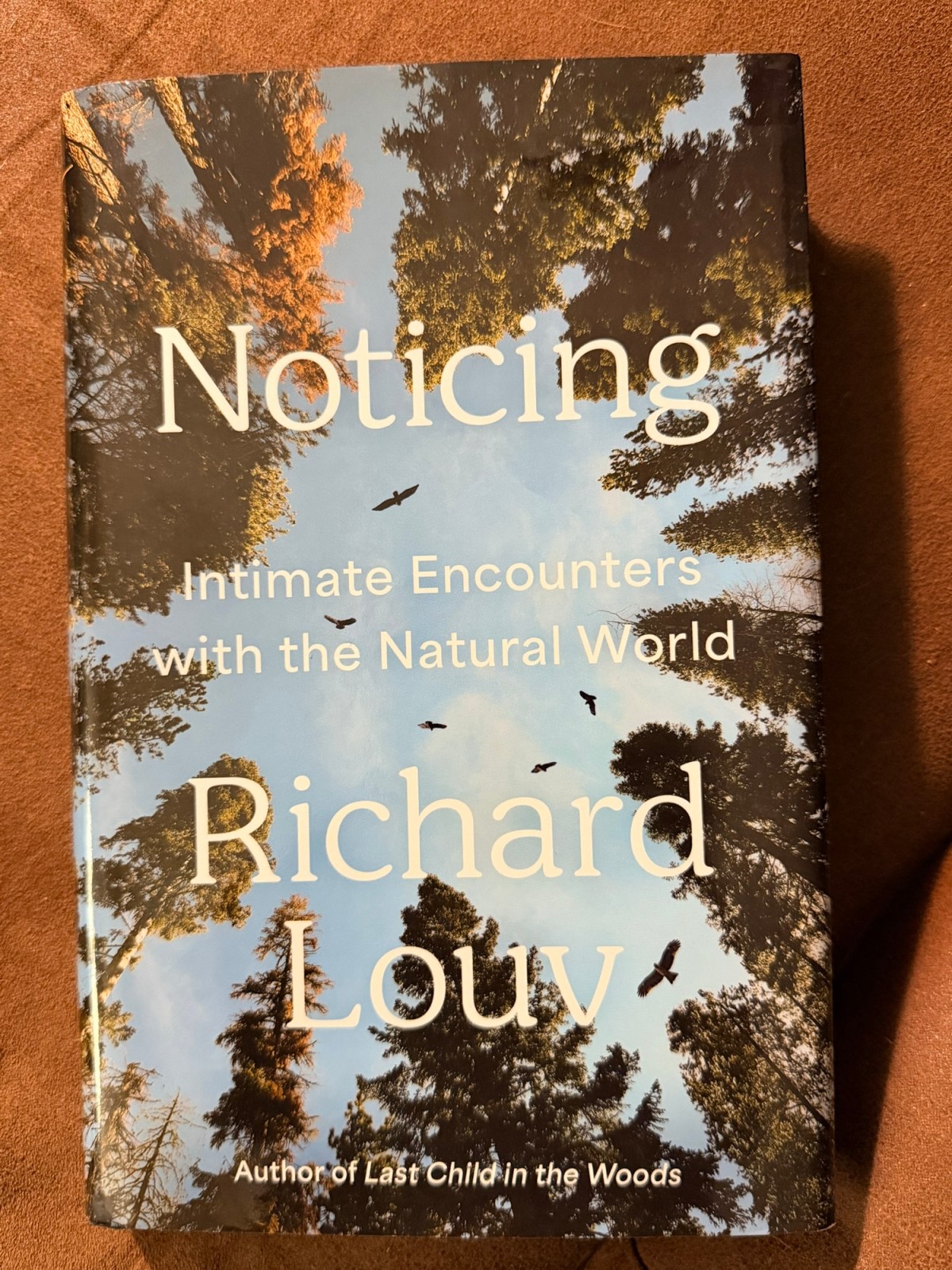 Book Report: Noticing